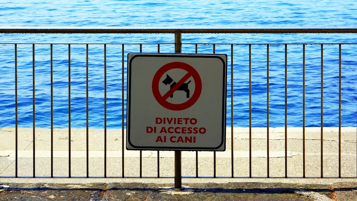 a no dogs allowed sign on a fence by the water